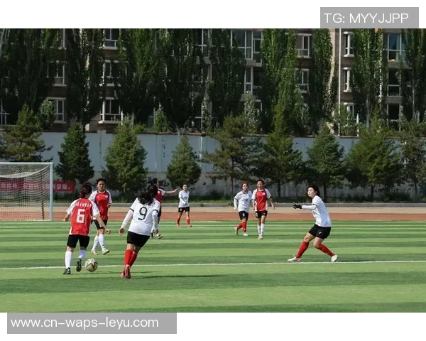 足球联赛的历史发展与现状分析及其对全球体育文化的影响